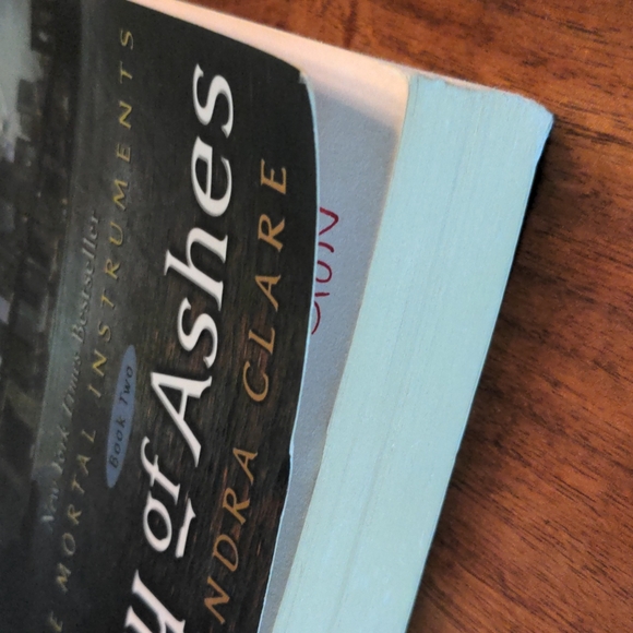 The Mortal Instruments Books 1,2 &3 - Picture 11 of 13